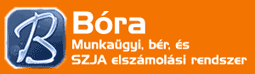 Bóra - Munkaügyi nyilvántartás, bérszámfejtés, ÁNYK 08 lapok kitöltése